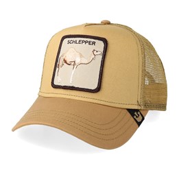 Hump day hat Outlet