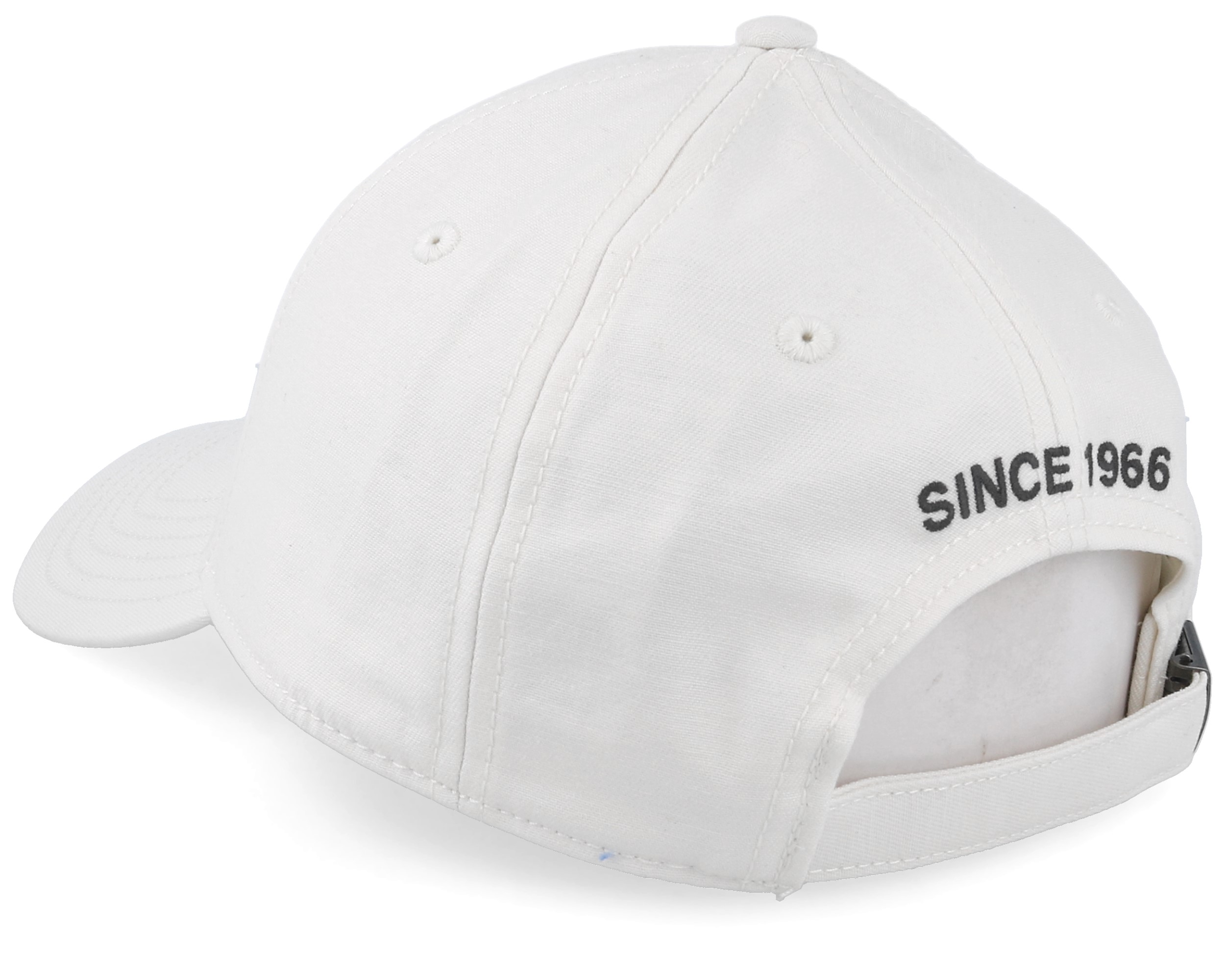 the north face 1966 cap