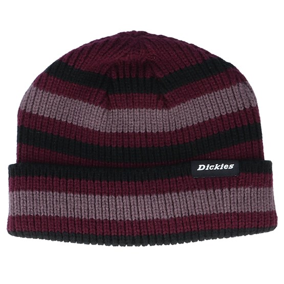 dickies dundas beanie