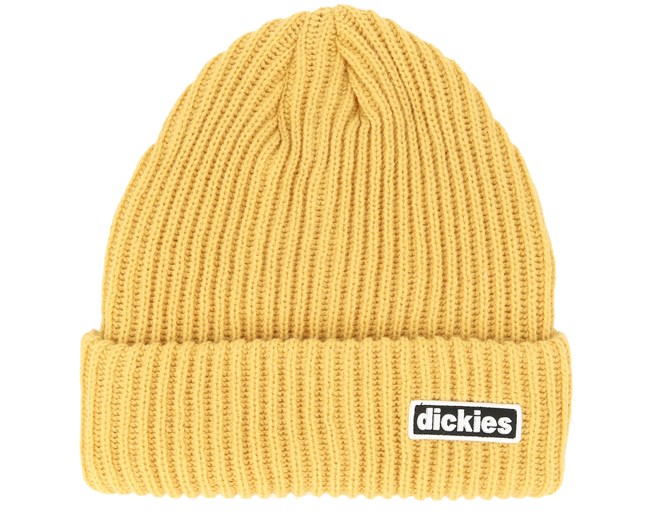 dickies dundas beanie