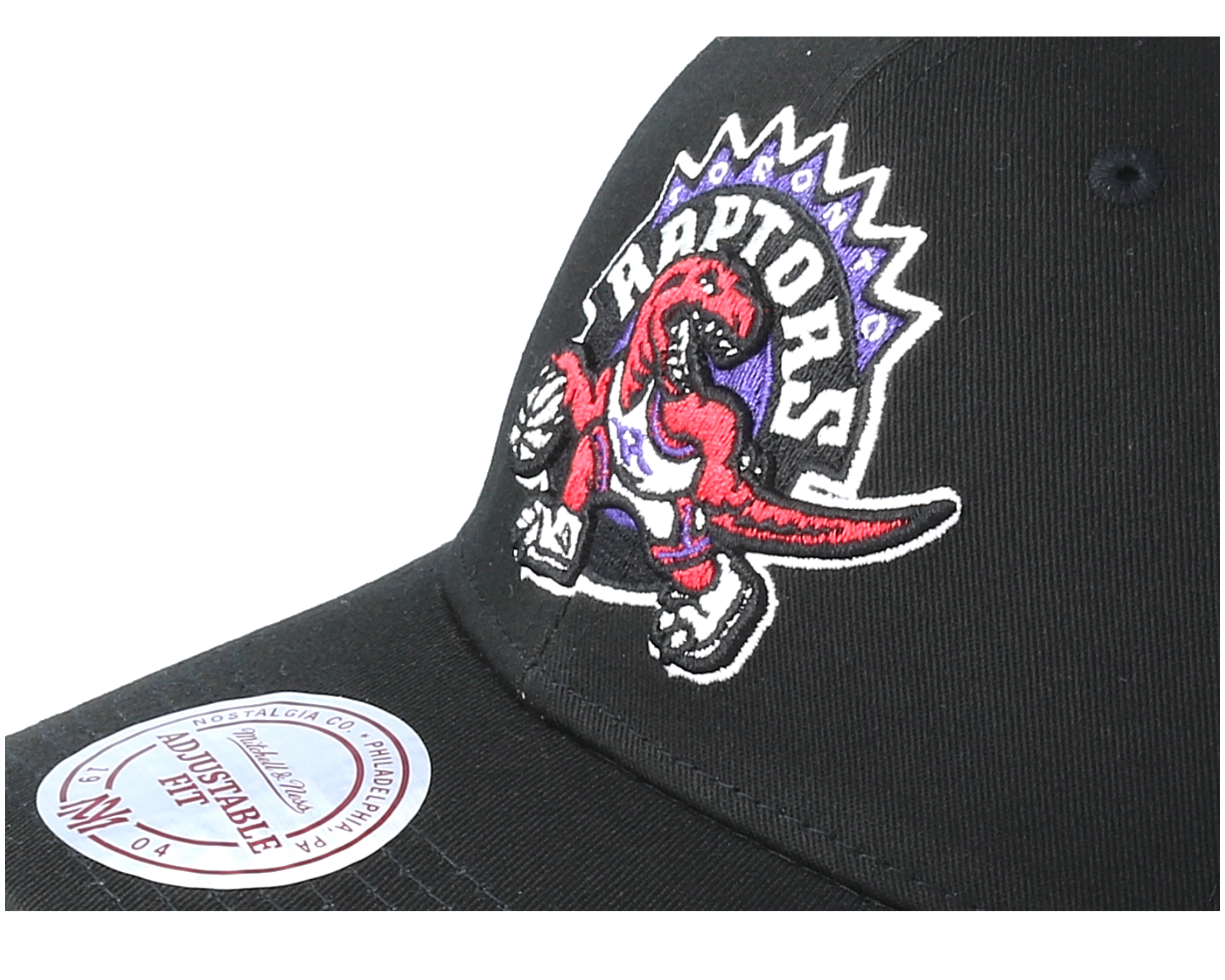toronto raptors low profile hat