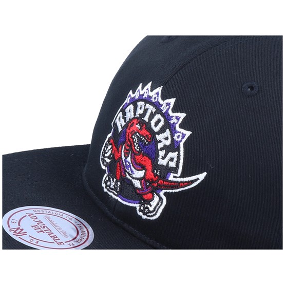 raptors old logo hat