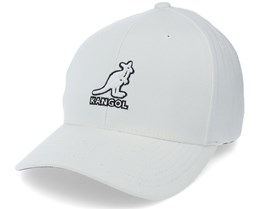 bazzo rencontre pennac