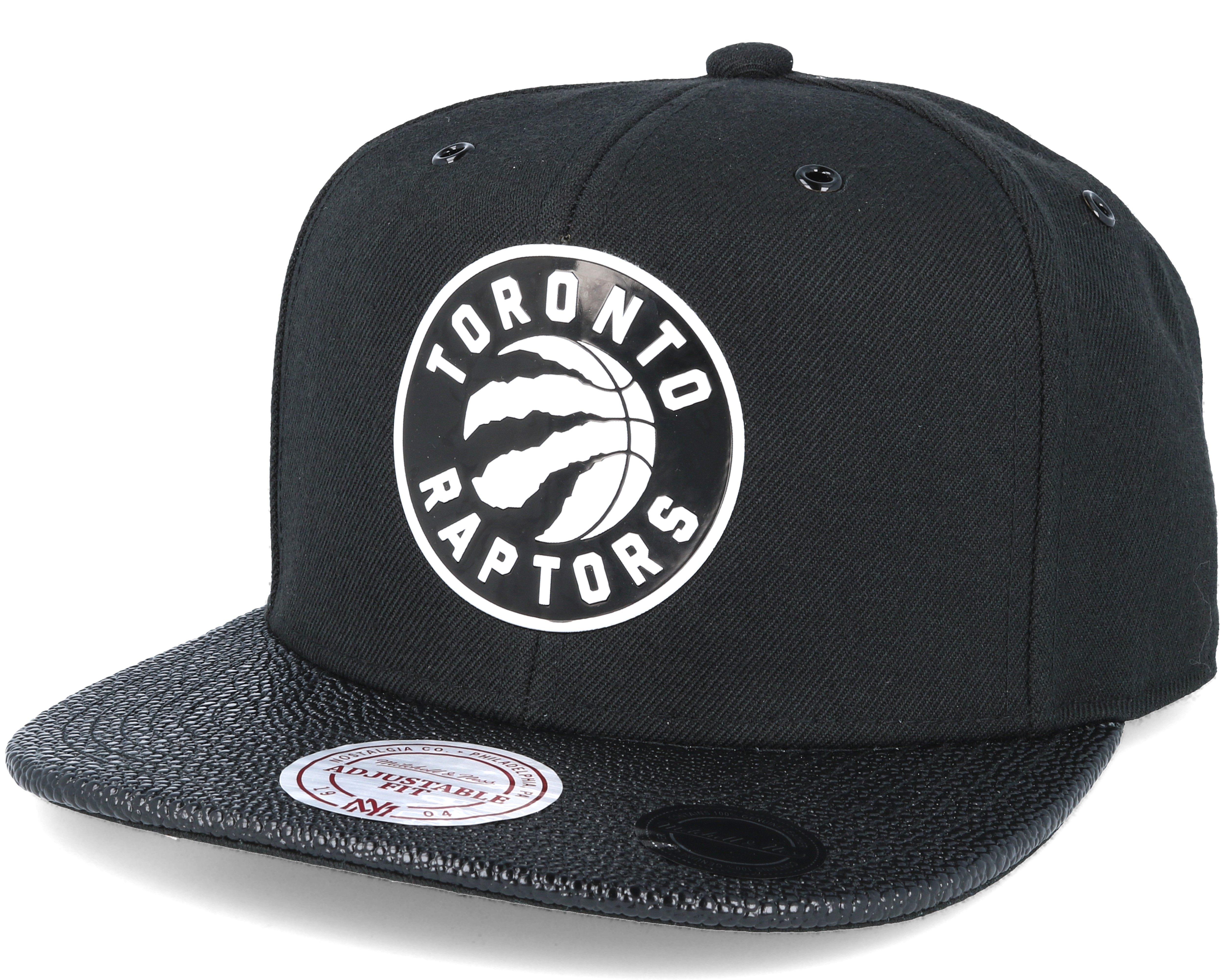 nike raptors hat