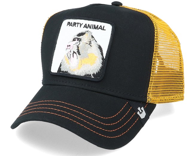 goorin bros party animal