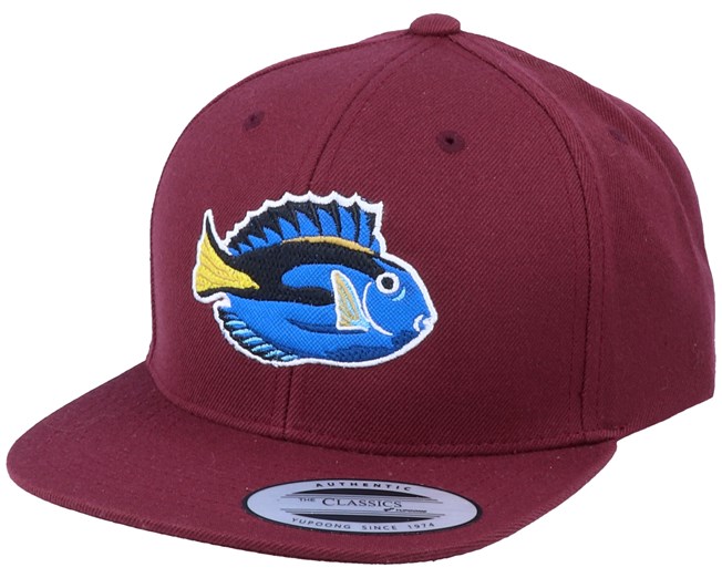Oscar fish nz