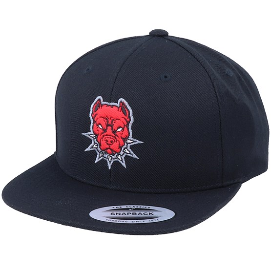 Pitbull snapback Clearance